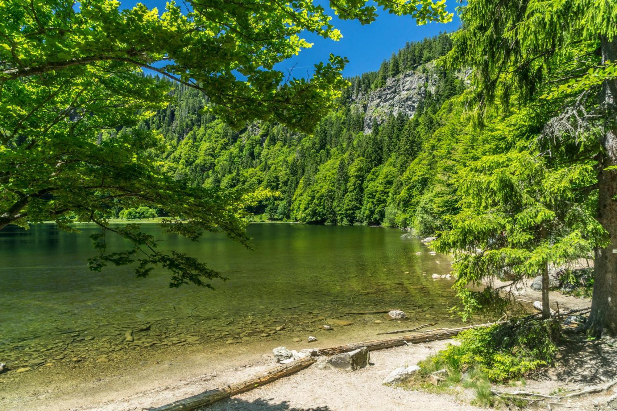 Ferienhaus Schwarzwaldstern, Todtnau, 3 Schlafzimmer Экстерьер фото